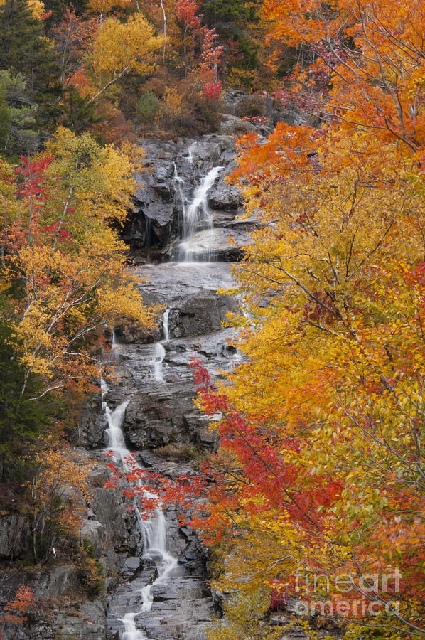 Silver Cascades through Autumn Foliage  Photograph by Bob Phillips