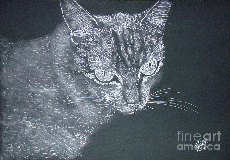 Silver Cat Drawing by Cybele Chaves