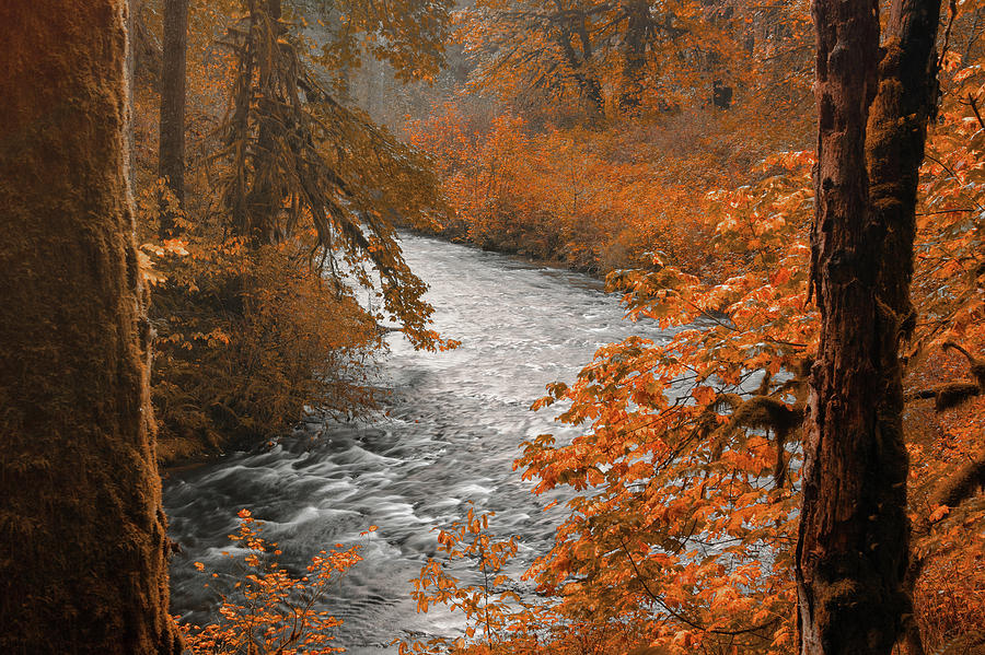 Silver Creek Photograph by Don Schwartz