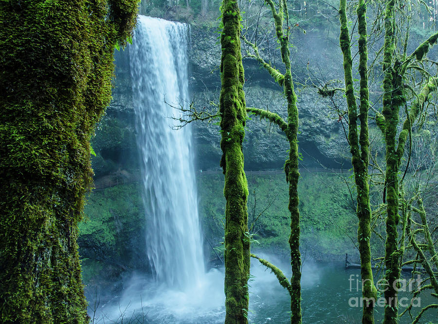 Silver Creek Falls ... Oregon Photograph by Nick Boren