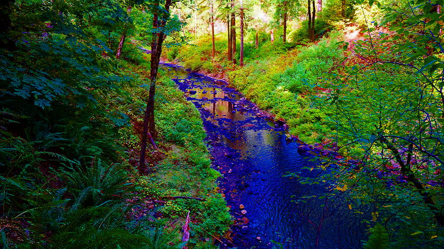 Silver Creek Falls #21 Enhanced Photograph by Ben Upham III