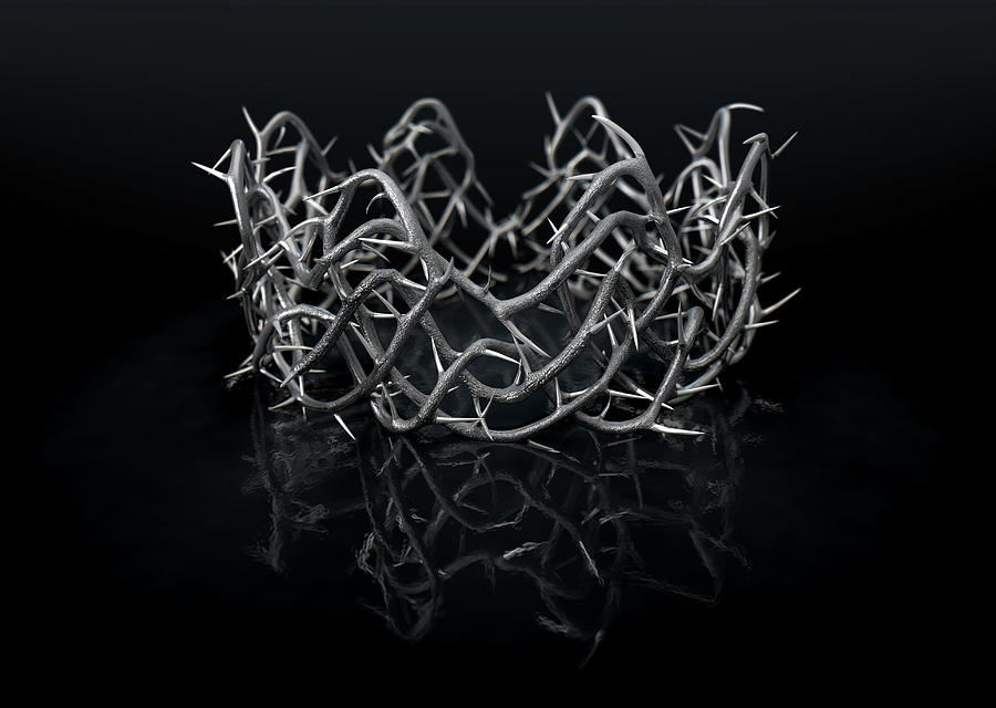 Pattern Digital Art - Silver Crown Of Thorns by Allan Swart