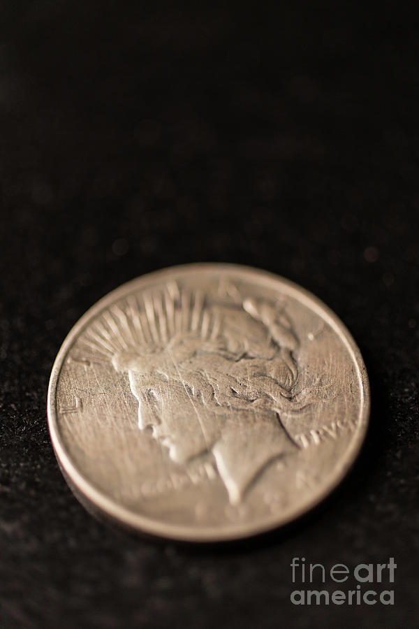Silver Dollar Photograph by Edward Fielding