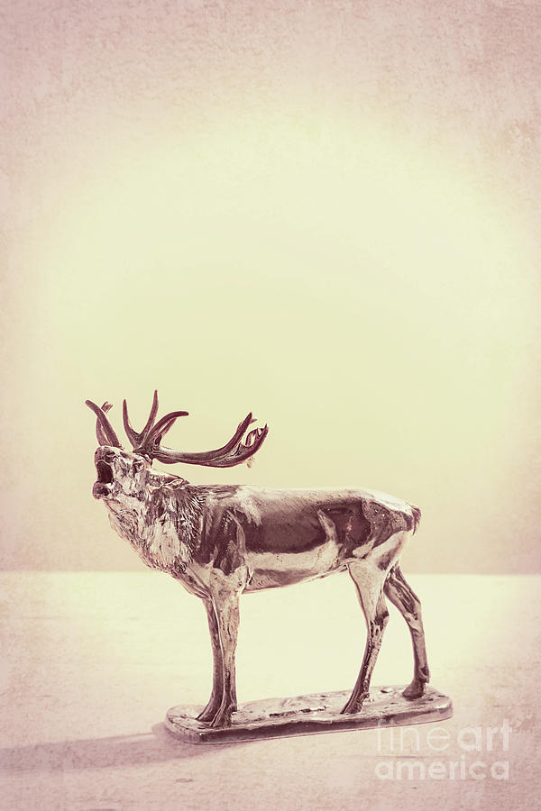 Moose Photograph - Silver Elk Antique Ornament by Amanda Elwell