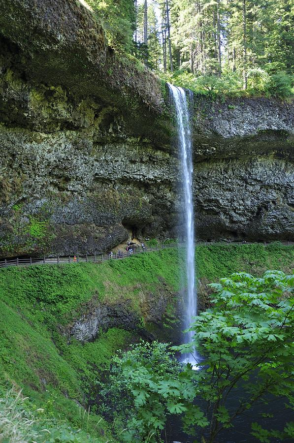 Silver Falls 2893 Photograph by Jerry Sodorff
