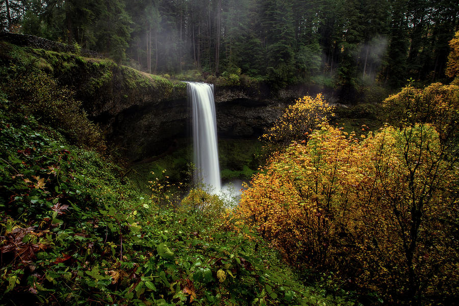 Fall Photograph - Silver Falls by Ryan Smith