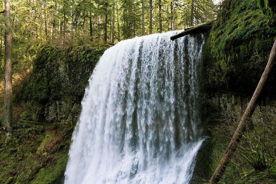 Silver Falls Waterfall  Photograph by Steven Clark