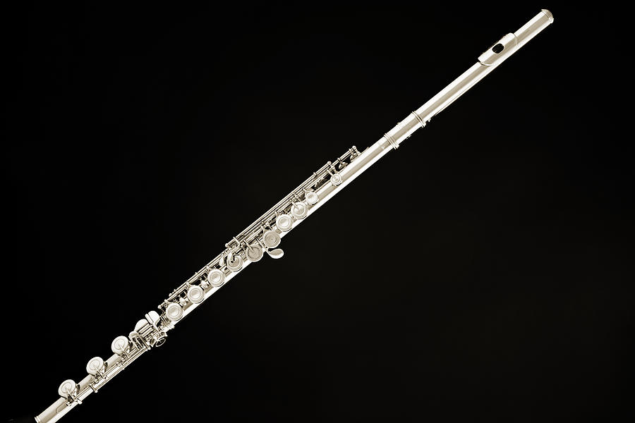 Silver Flute Photograph by M K Miller