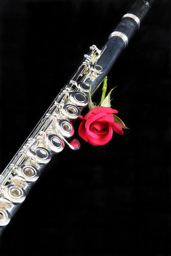 Silver Flute Red Rose Photograph by M K Miller