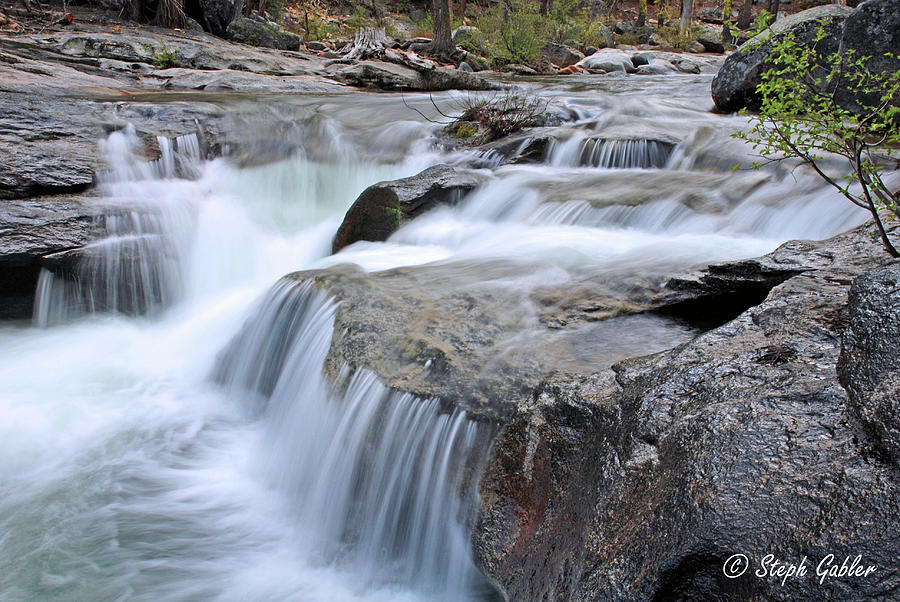 Silver Fork Falls Photograph by Steph Gabler