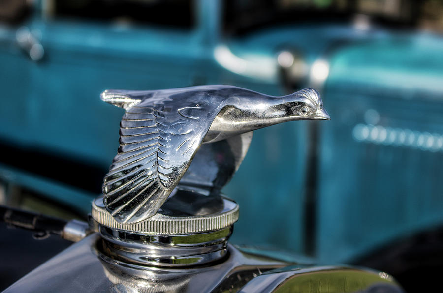 Silver Goose by Mark David Gerson Silver Goose by Mark David Gerson