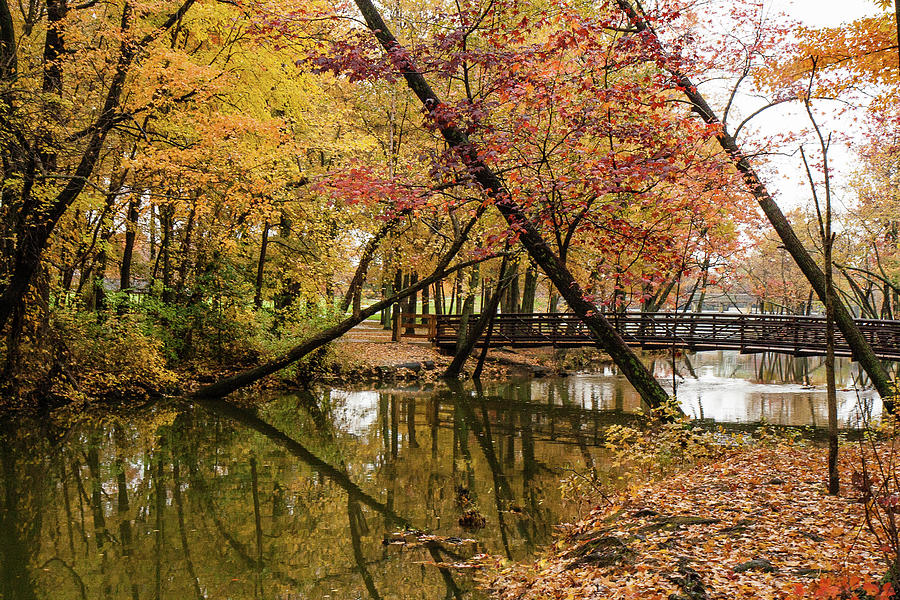 Silver Lake Park Bridge in Dover Delaware in the Fall Photograph by ...