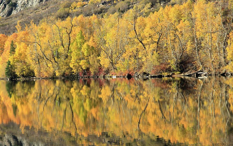 Silver Lake Peak Autumn Photograph by Sean Sarsfield