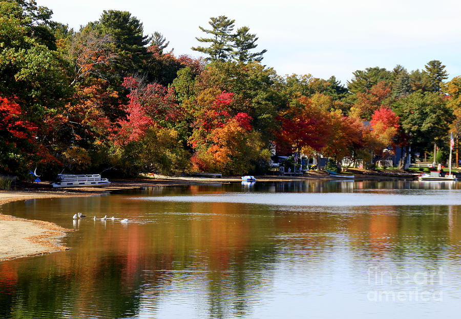 Silver lake  Reflections Wilmington Ma Photograph by Lennie Malvone