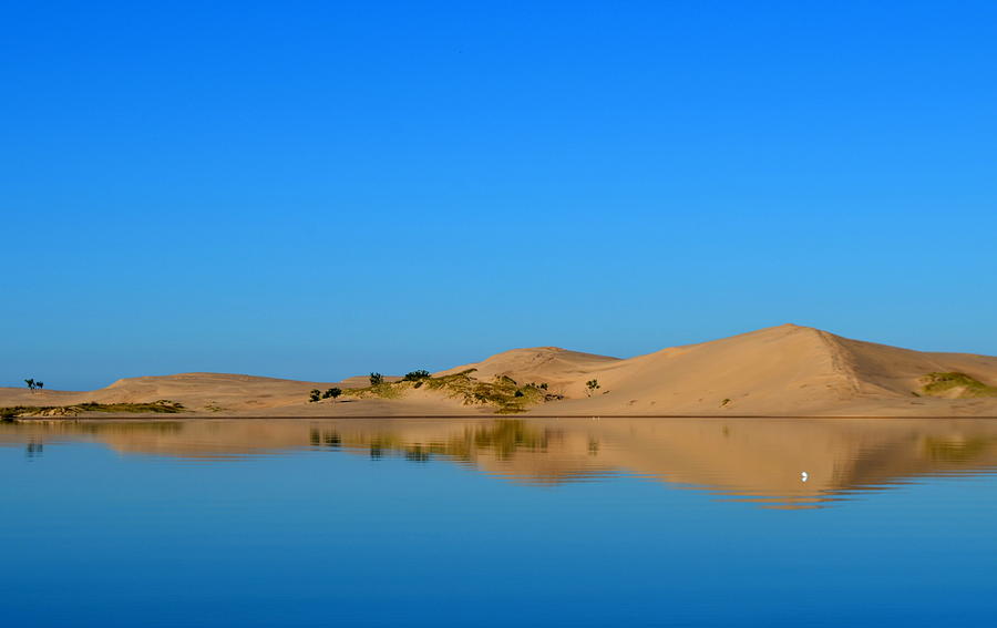 silver lake sand dunes shirts