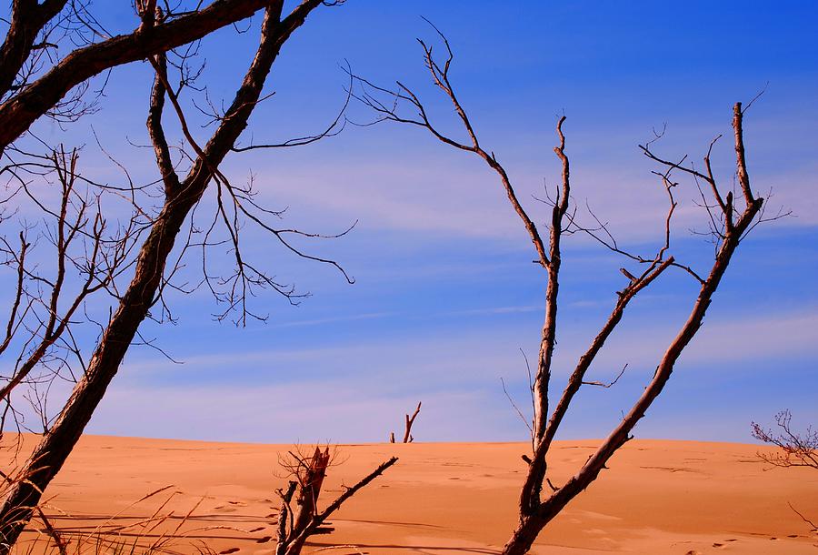 Silver Lake Sand Dunes Photograph by Kellie Prowse