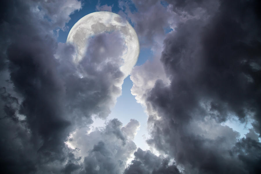 The Moon Sliver