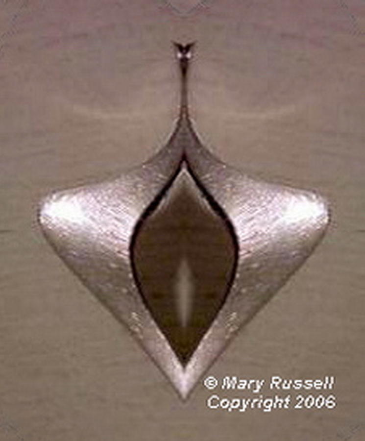Silver Pendant Digital Art by Mary Russell