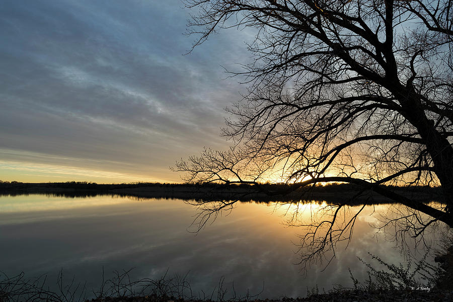 Silver Silhouettes Photograph by Robert Bresley | Fine Art America