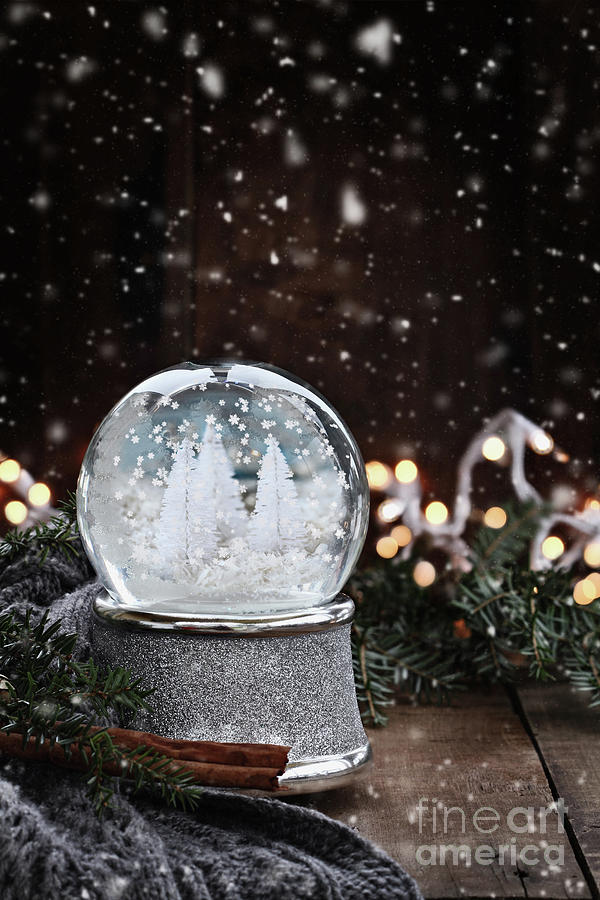 Silver Snow Globe Photograph by Stephanie Frey