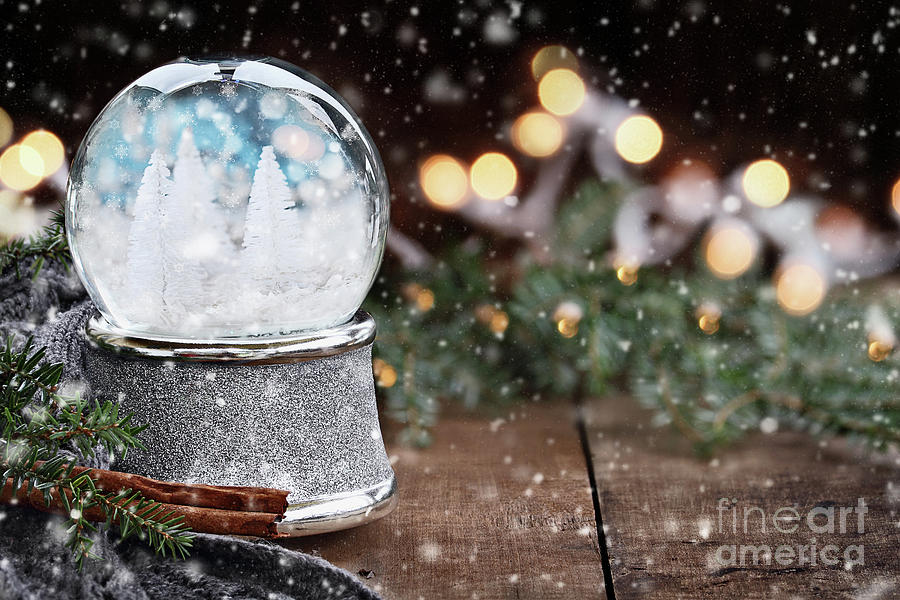 Silver Snow Globe with White Christmas Trees Photograph by Stephanie Frey