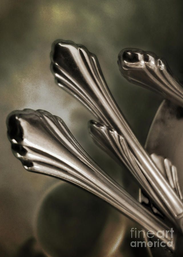 Silver Sprouts Photograph by John Anderson