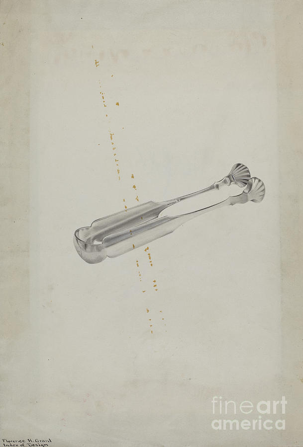 Silver Sugar Tongs Drawing by Florence Grant Brown