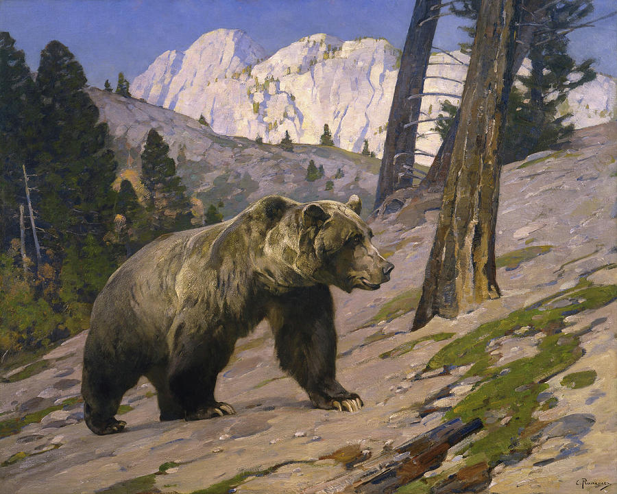 Yellowstone National Park Painting - Silver Tip Grizzly Bear - Rocky Mountains, Alberta by Rungius Carl