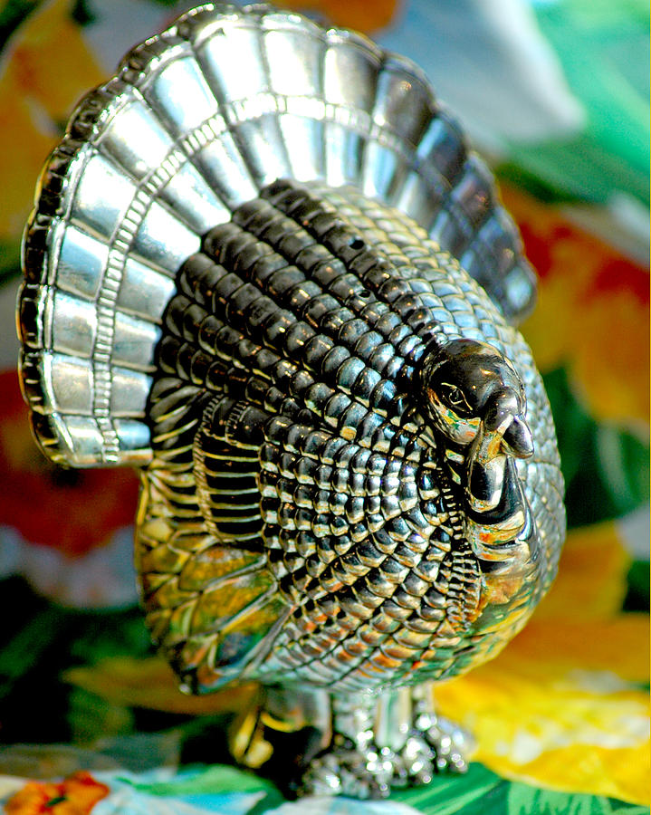 Landscape Photograph - Silver Turkey Left by LeeAnn McLaneGoetz McLaneGoetzStudioLLCcom