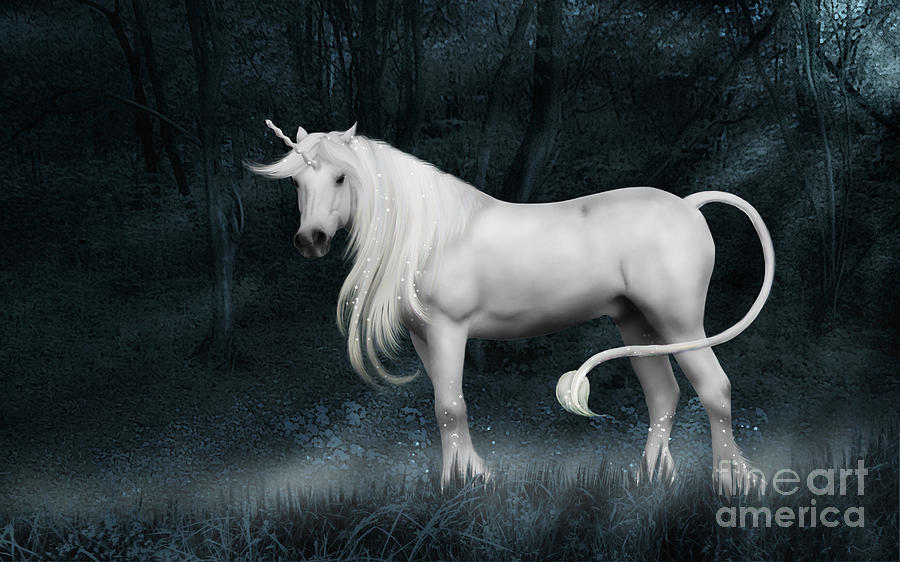 Unicorn Photograph - Silver Unicorn Standing In Misty Forest by Ethiriel Photography