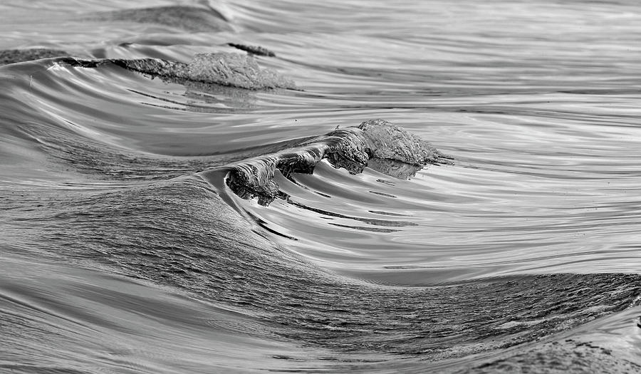 Wave Photograph - Silver wave by Inge Riis McDonald
