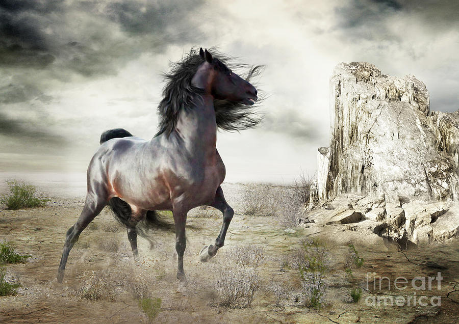 Horse Digital Art - Silverado by Shanina Conway