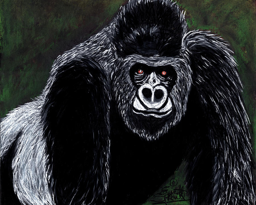 Silverback Gorilla Pastel by Everett Spruill