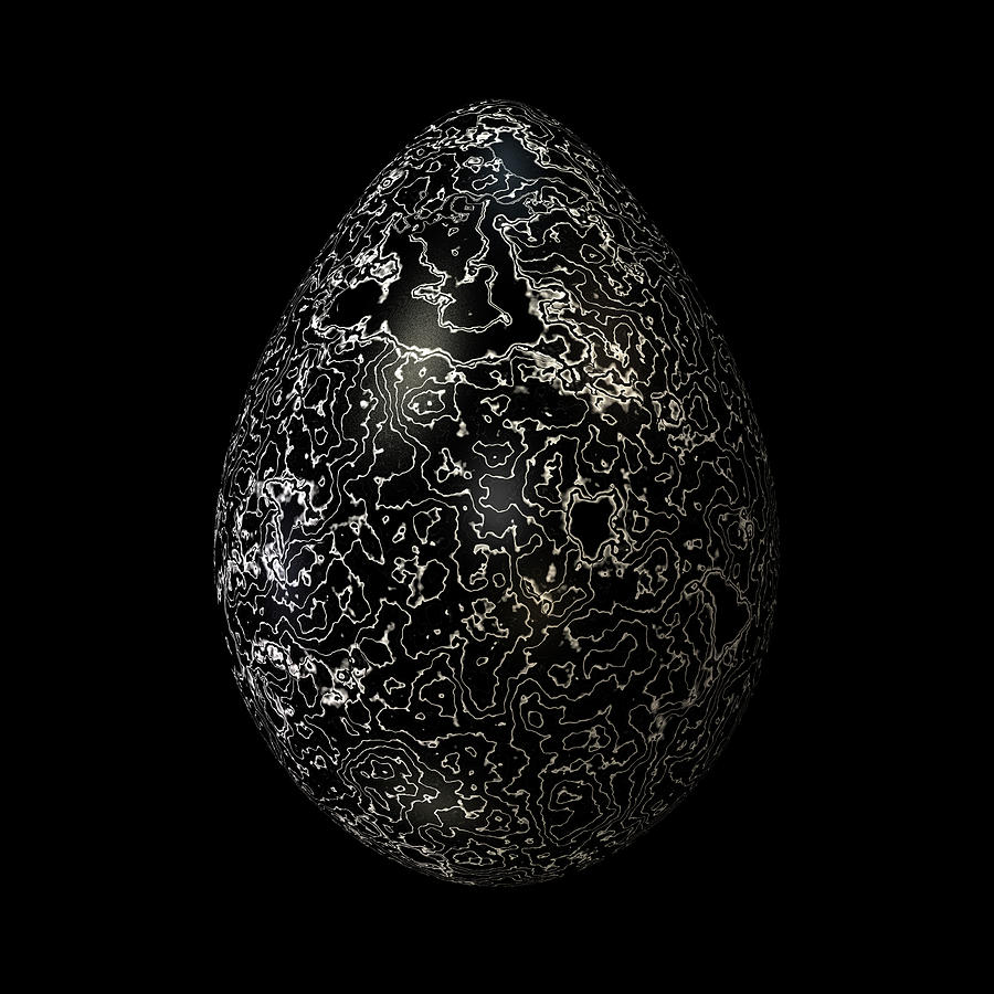 Egg Digital Art - Silvered Black Egg by Hakon Soreide