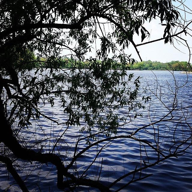 De Photograph - #silverlake #de #delaware #lake by Crystal Hammond