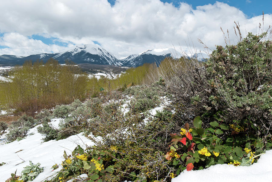 Silverthorne Early Spring Landscape Photograph by Cascade Colors