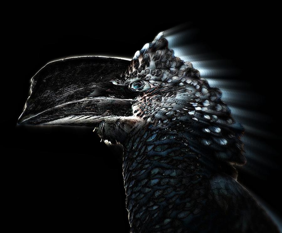 Bird Digital Art - Silvery - Cheeked Hornbill by Andy Klamar