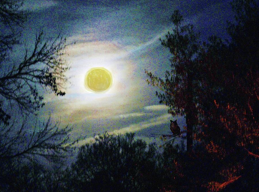 Silvery Moon Glow Digital Art by Jeannie Allerton
