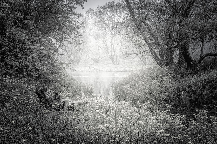 Silvery Morning in Black and White Photograph by Debra and Dave Vanderlaan