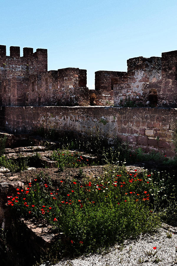 Silves Castle Photograph by Louise Heusinkveld