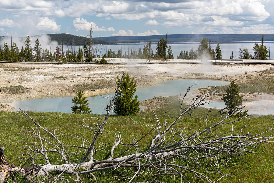 Simmering Geysers In Yellowstone National Park Photograph by Willie Harper