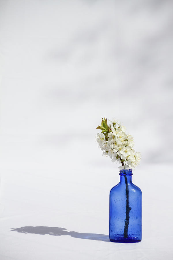 Simple Blue Photograph by Marzena Grabczynska Lorenc