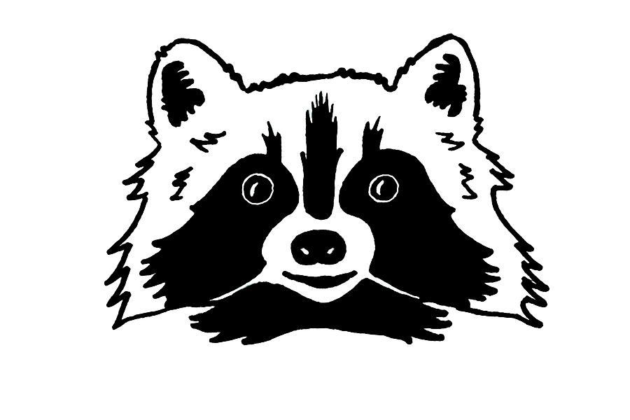 Simple Funny Raccoon Drawing by Masha Batkova