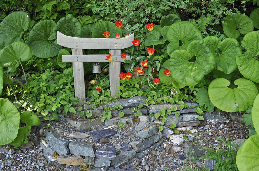 Simple Garden Photograph by Cathy Mahnke