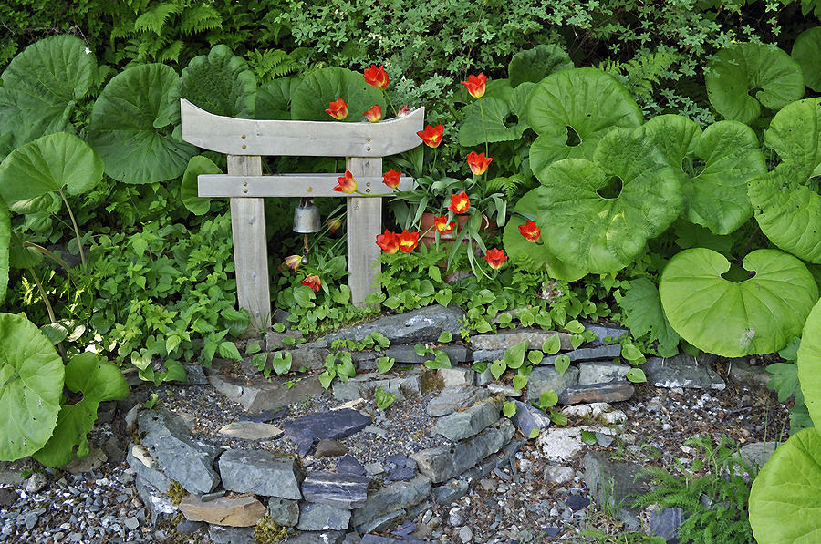 Simple Garden with Brushstrokes Photograph by Cathy Mahnke