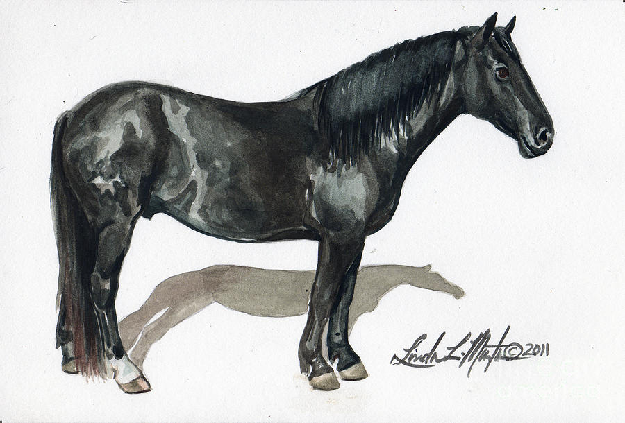Simple Horse Portrait Painting by Linda L Martin