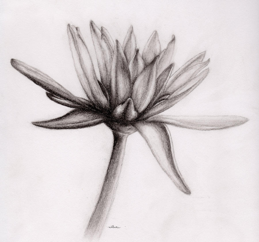 simple charcoal art