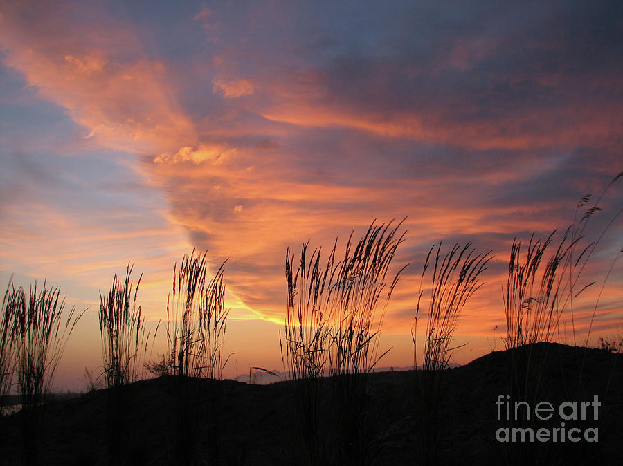Sunset Photograph - Simple Joys by Chris Anderson