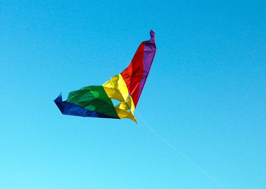 Simple Kite Photograph by Nicholas Blackwell