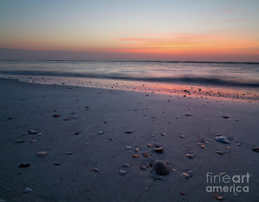 Shell Photograph - Simple Sunrise -- Sunrise over St Augustine Beach, Florida by Matt Tilghman